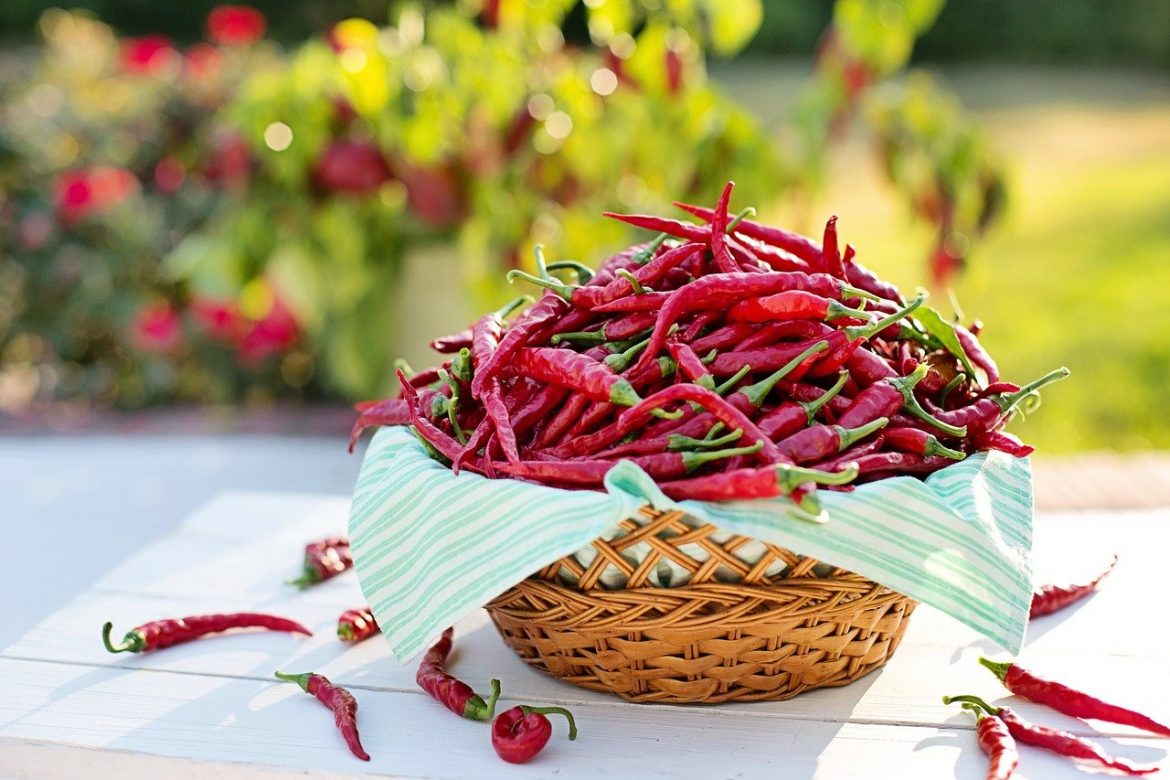 Piment vegetarien : La recette qui met tout le monde d’accord